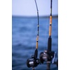 image:imageUgly Stik Bigwater Casting Fishing RodNew Model