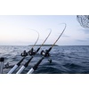 image:imageUgly Stik Bigwater Casting Fishing RodNew Model